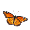 Design sem nome (10)